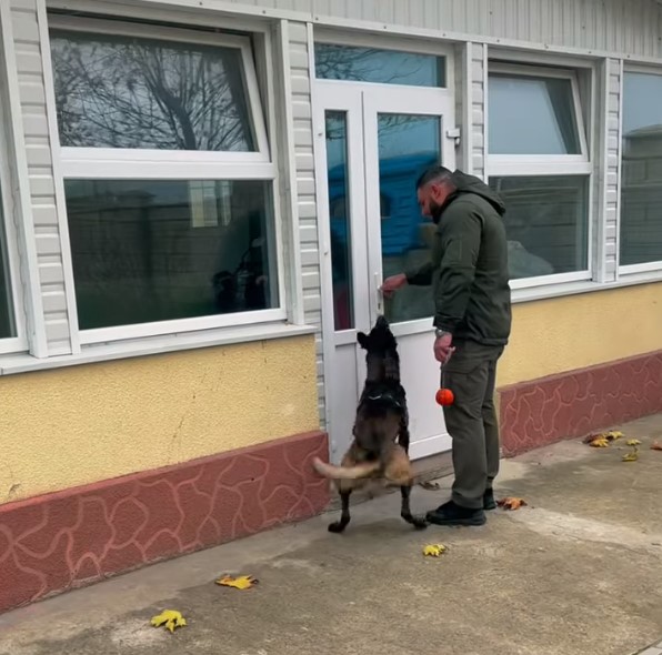 Зустрічайте 4-лапого бійця!